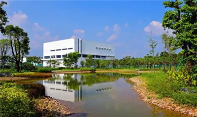 ด้วยกลยุทธ์ 